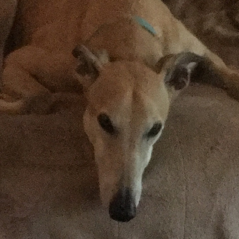 Meet your Posher, Maranda